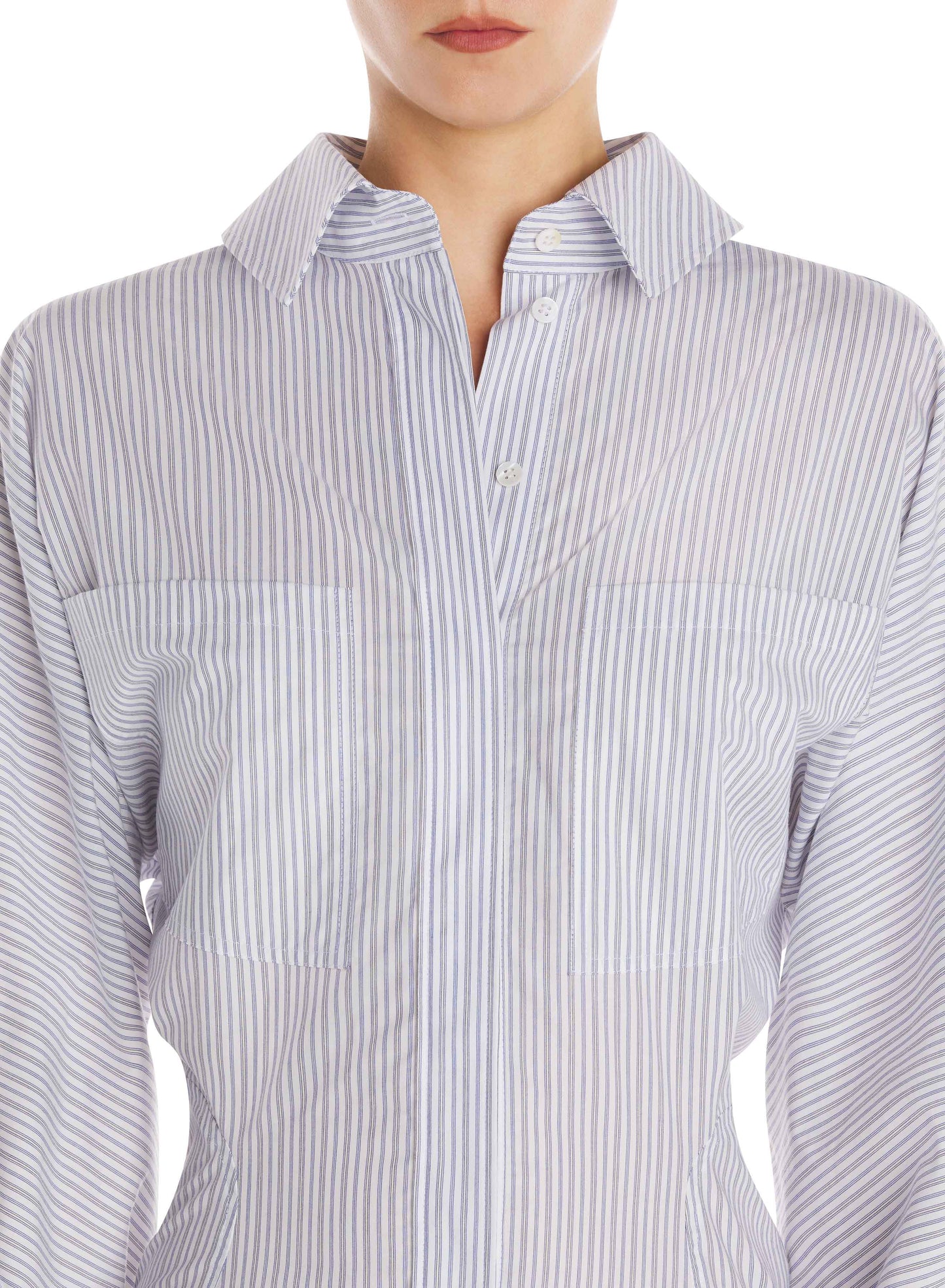 Pinstripe poplin dress