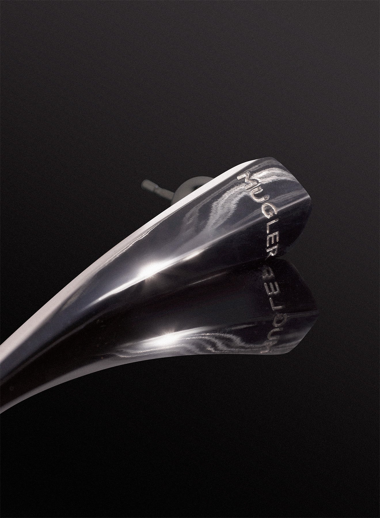 small fang silver earring