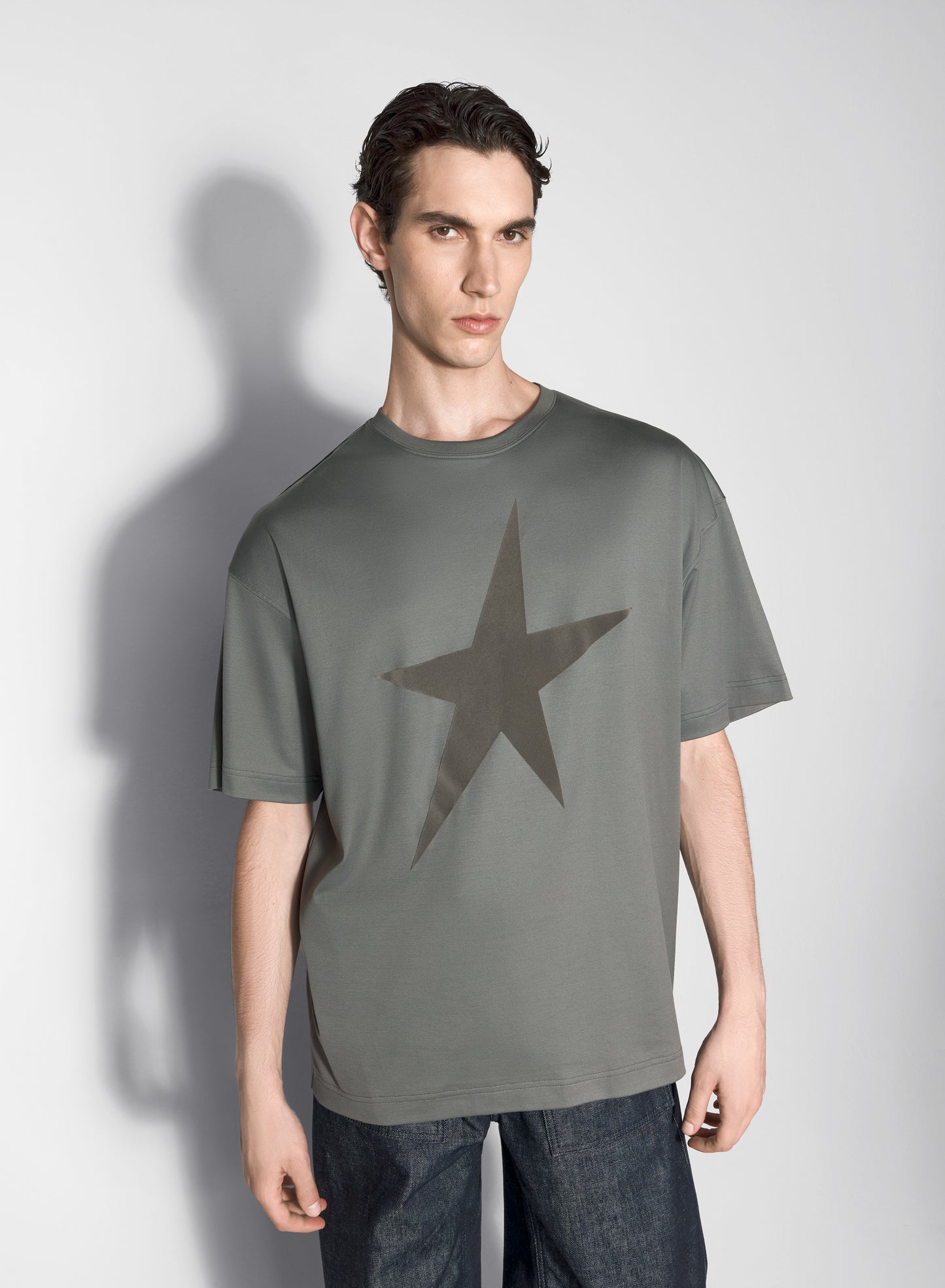 grey velvet star t-shirt